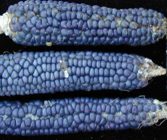 Vadito Blue
