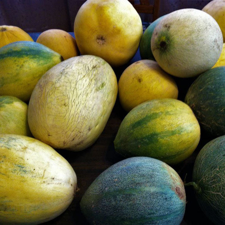 Esperanza de Oro