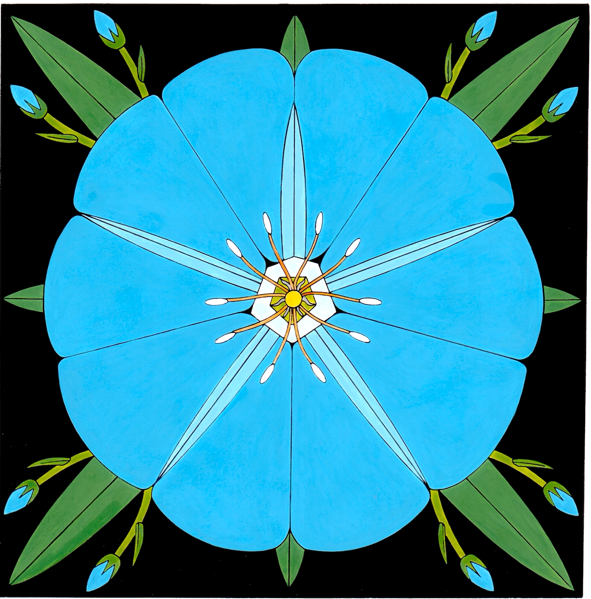 Full color print of blue eyes flower measures 7.5" x 7.5" plus a 2.25" white border. Black frame with glass, measures 12" x 12".