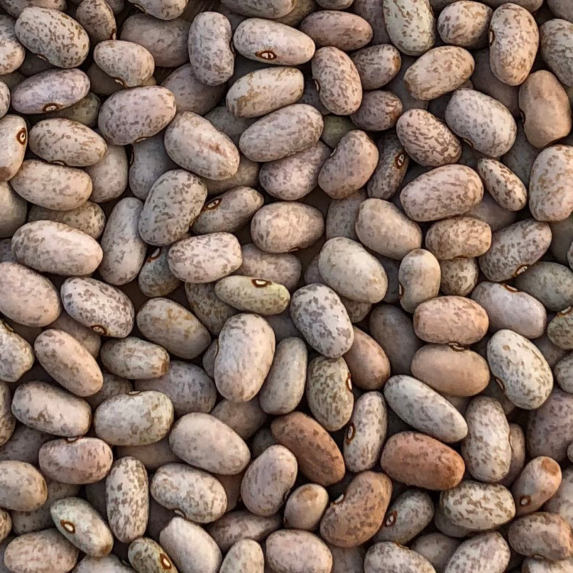 Brown Speckled