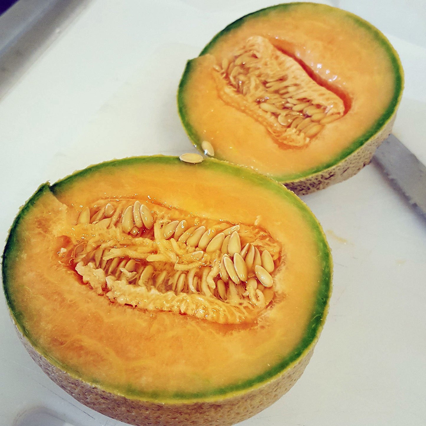 Melon Mexicano