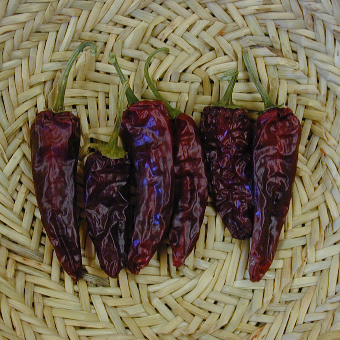 Escondida