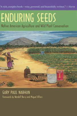 Enduring Seeds: Native American Agriculture and Wild Plant Conservation softcover book by Gary Paul Nabhan. The cover shows an illustration of Native people farming in the desert