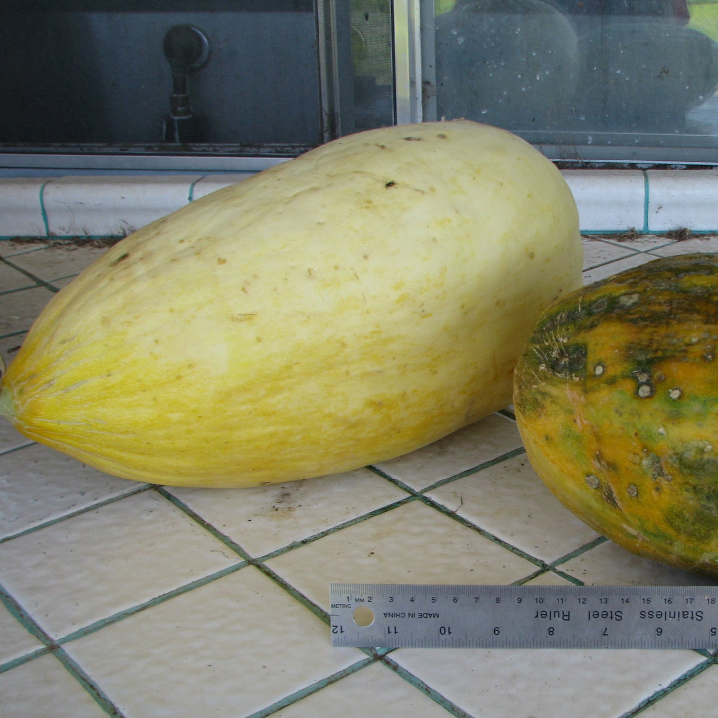 Esperanza de Oro