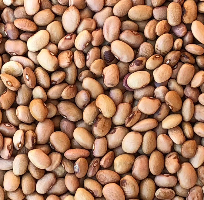 Garcia Bolita