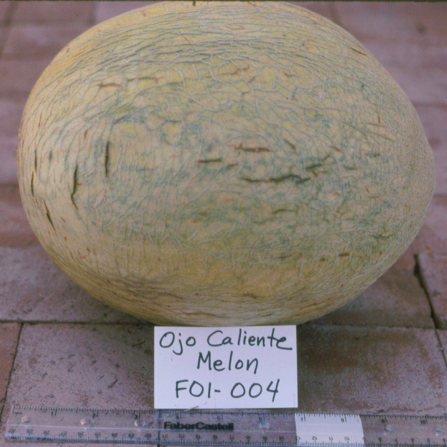 Ojo Caliente