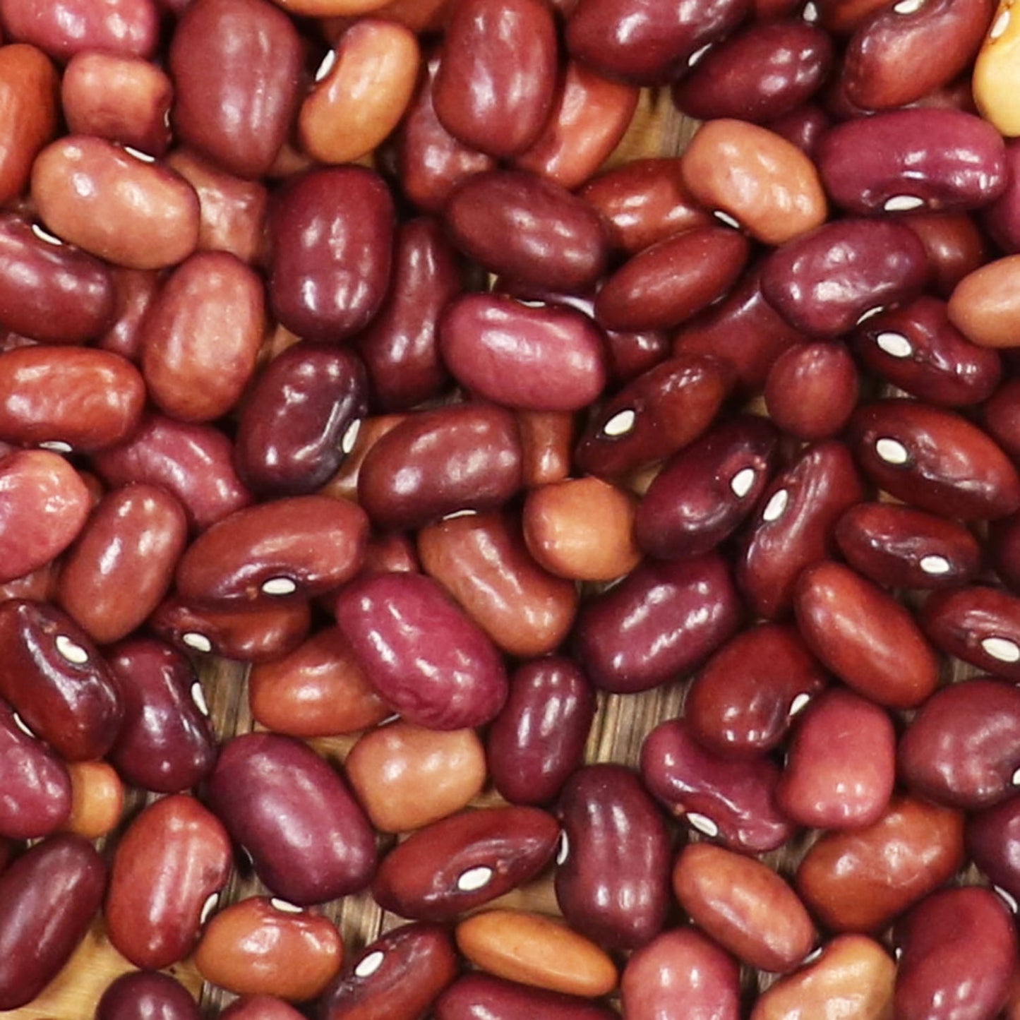Mountain Pima Plum