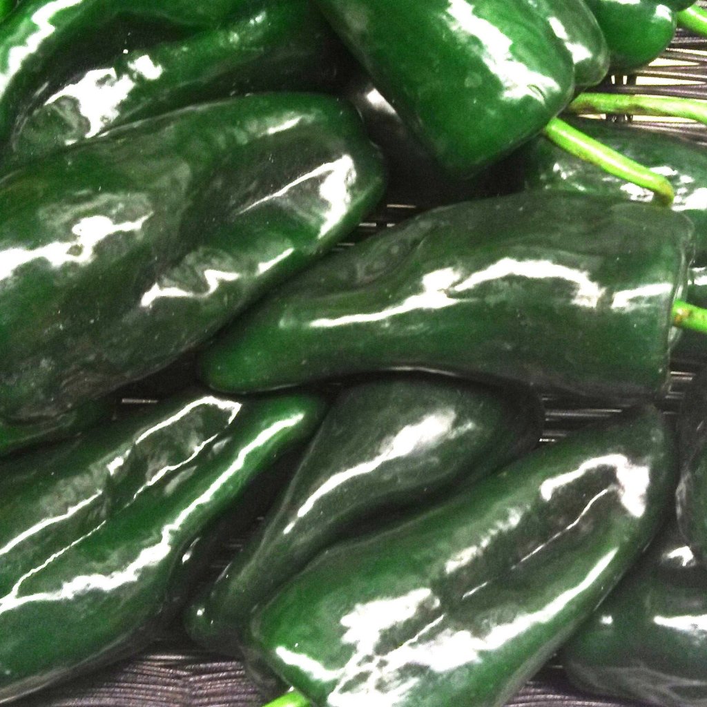 Poblano