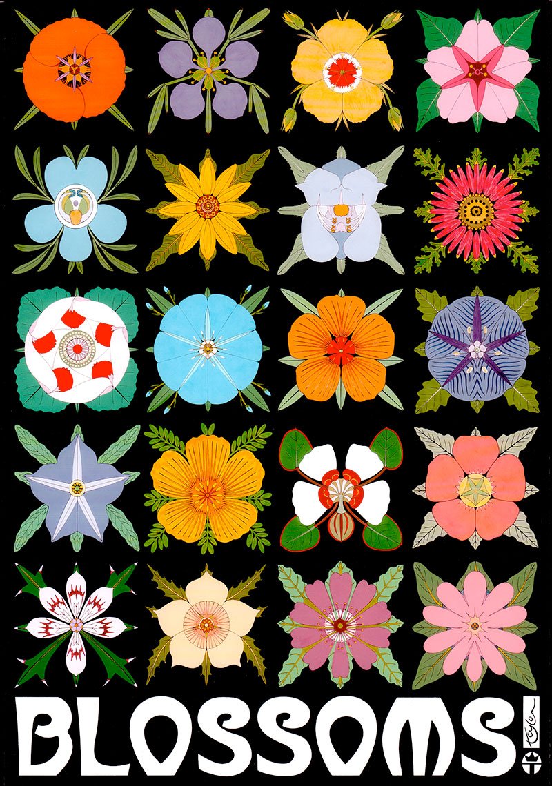 Beautiful postcard featuring Tucson artist Wil Taylor's collection of 20 colorful Sonoran Desert Blossoms!  Measures 6 inches x 4inches, printed on heavy card stock