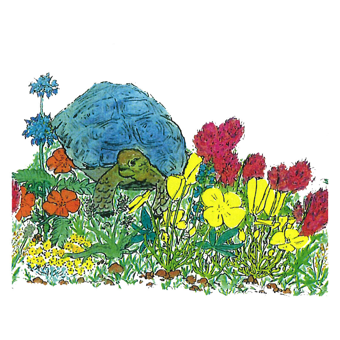 Short Stuff: Native Grasses & Wildflower Mix - For Wet Season