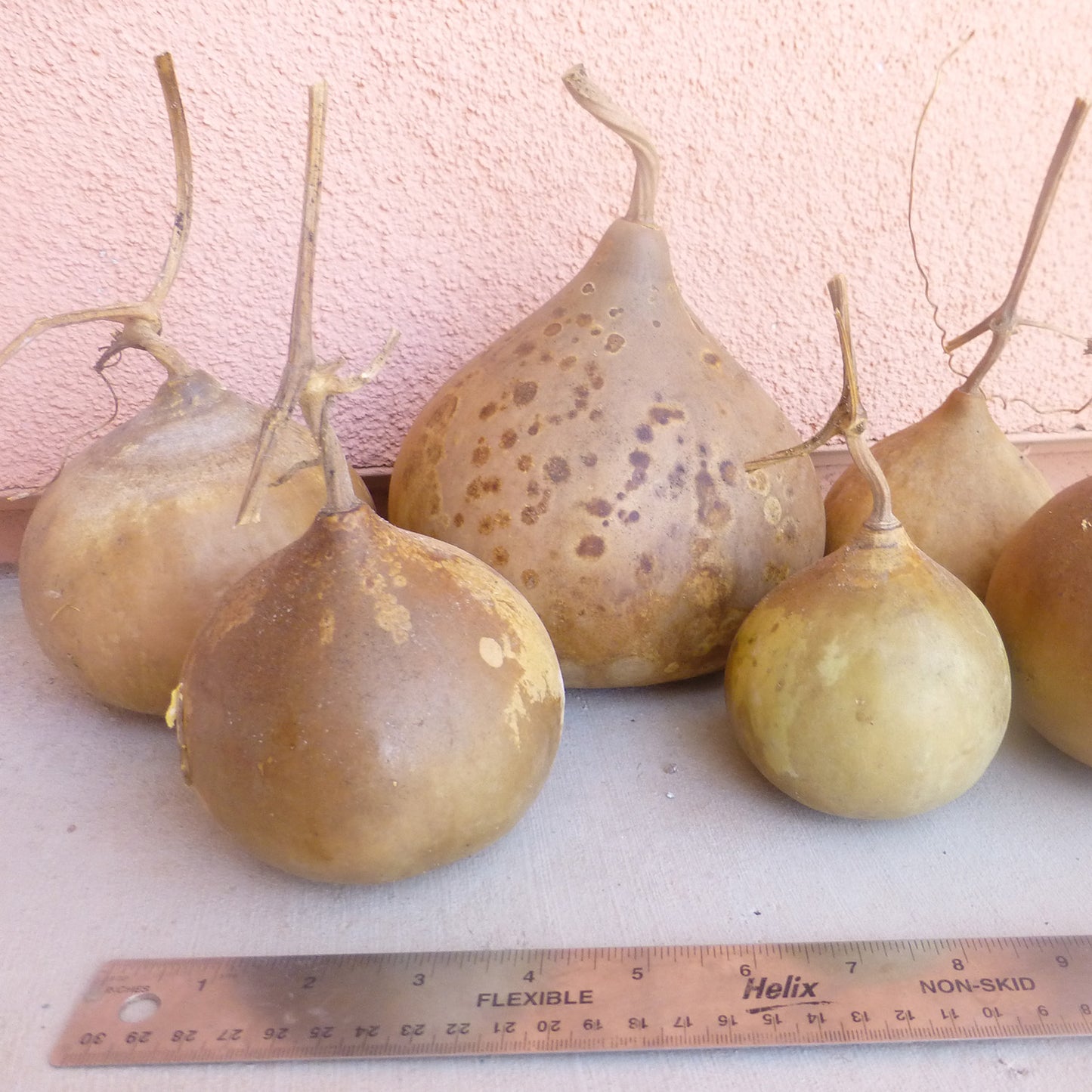 Rarámuri Small Bule
