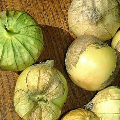 organic green tomatillo seeds with medium to large fruit