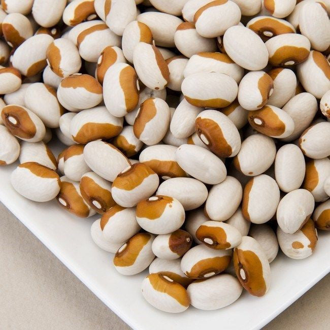 Yellow Eye Beans - Heirloom